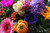 Jual Poster Anemones Gerberas Roses Ranunculus Hyacinths WPS