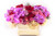 Jual Poster Bouquets Orchid Roses Hydrangea White background WPS