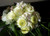 Jual Poster Bouquets Roses Dahlias WPS 004