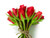 Jual Poster Bouquets Roses Red WPS 001