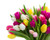 Jual Poster Bouquets Tulips Many WPS