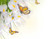 Jual Poster Butterflies Monarch WPS 001