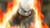Poster Dragon Ball Dragon Ball Super APC196A