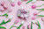 Jual Poster Cookies Tulips Colored background Bowknot Box WPS