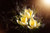 Jual Poster Crocuses Bokeh Yellow WPS