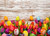 Jual Poster Holidays Easter Tulips Many Wood planks Eggs WPS