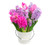 Jual Poster Hyacinths Closeup White WPS
