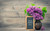 Jual Poster Lilac Bouquets Mother 's WPS