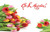 Jual Poster March 8 Tulips White background Word Lettering WPS