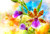Jual Poster Orchid Closeup WPS 007