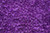 Jual Poster Orchid Texture Violet Petals WPS