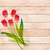 Jual Poster Painting Art Tulips Wood planks Template greeting WPS