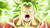 Poster Dragon Ball Super Kale (Dragon Ball) Dragon Ball Dragon Ball Super APC008A