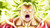 Poster Dragon Ball Super Kale (Dragon Ball) Dragon Ball Dragon Ball Super APC009A