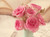 Jual Poster Roses Closeup Pink color WPS 013
