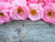 Jual Poster Roses Closeup Pink color WPS 038