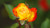 Jual Poster Roses Closeup Yellow Bokeh WPS