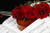Jual Poster Roses Notes Three 3 Wine color WPS 002