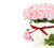 Jual Poster Roses Pink color Vase WPS 002