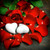 Jual Poster Roses Red Petals Heart WPS