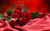 Jual Poster Roses Red WPS 006