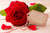 Jual Poster Roses Valentine's Day Red Template greeting card WPS