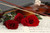Jual Poster Roses Violin Notes Three 3 Red WPS