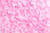 Jual Poster Texture Roses Pink color Petals WPS
