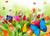 Jual Poster Tulips Butterflies WPS 002 Jual Poster Tulips Butterflies WPS 002
