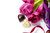Jual Poster Tulips Candy Chocolate WPS
