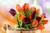 Jual Poster Tulips Closeup WPS 015