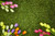 Jual Poster Tulips Grass WPS