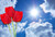 Jual Poster Tulips Sky Red Three 3 WPS