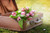Jual Poster Tulips Suitcase WPS