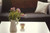 Jual Poster Tulips Vase Sofa Pillows WPS