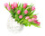Jual Poster Tulips White background Vase Pink color WPS