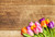 Jual Poster Tulips Wood planks WPS 001
