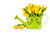 Jual Poster Tulips Yellow WPS 004