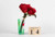 Jual Poster Valentine's Day Roses Gray background English Word WPS