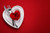 Jual Poster Valentine's Day Roses Knife Colored background Red WPS