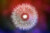 Jual Poster dandelion flower macro bokeh bloom WPS Jual Poster dandelion flower macro bokeh bloom WPS