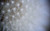 Jual Poster dandelion macro white WPS