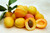 Jual Poster Apricot Fruit Food Apricot APC 011