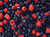 Jual Poster Berry Blackberry Blueberry Fruit Raspberry Food Berry APC 005