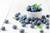 Jual Poster Berry Blueberry Fruit Food Blueberry1 APC