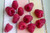Jual Poster Berry Fruit Raspberry Food Raspberry APC 009