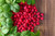 Jual Poster Berry Fruit Raspberry Food Raspberry APC 017