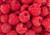 Jual Poster Berry Fruit Raspberry Food Raspberry APC 030