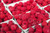 Jual Poster Berry Fruit Raspberry Red Food Raspberry APC 001