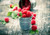 Jual Poster Berry Fruit Raspberry Still Life Food Raspberry APC 002